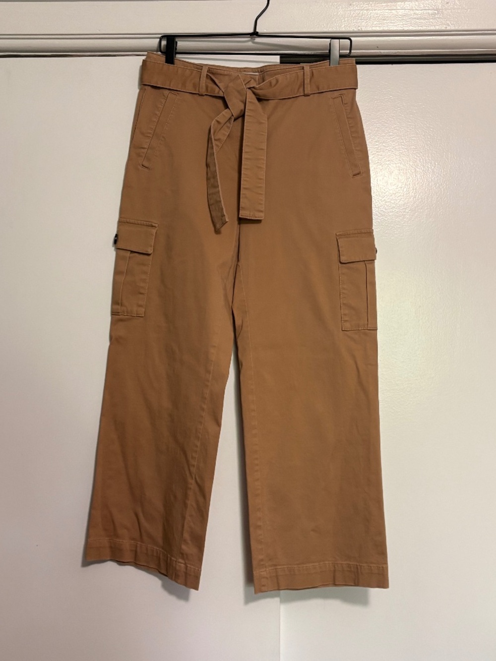 Ann Taylor Cargos